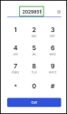 Dialpad- typing extension numbers without formatting