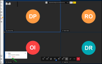 Meeting moderators can grant active participant rights to visitors 